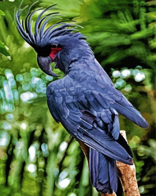 Black Cockatoo Bird Diamond Paintings