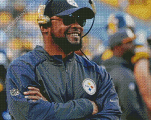 Cool Mike Tomlin Diamond Paintings