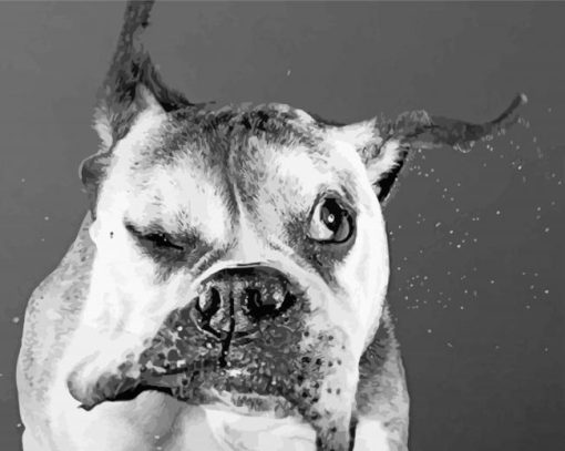 Funny Black And White Dog Diamond Paintings