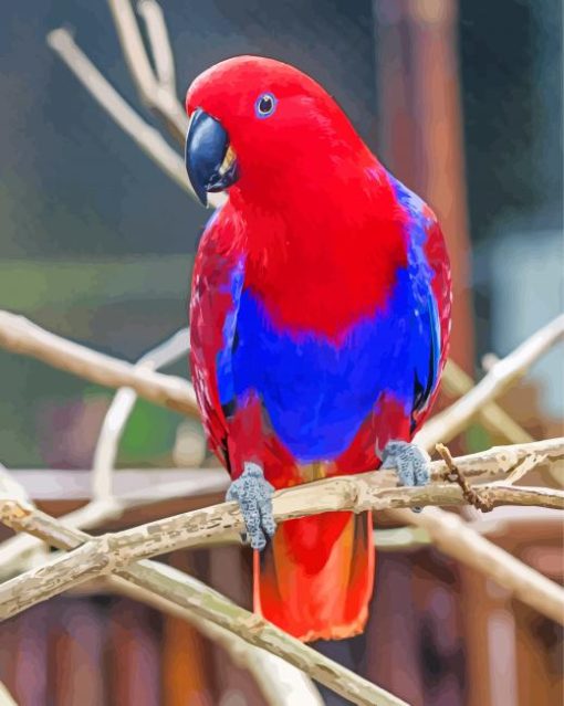Red Eclectus Parrot Bird Diamond Paintings