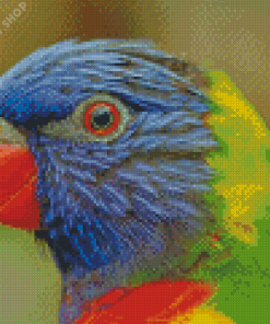 Tropical Lory Bird Diamond Paintings