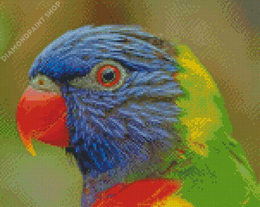 Tropical Lory Bird Diamond Paintings