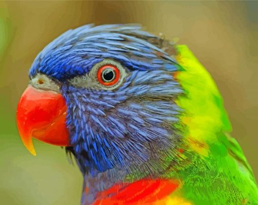 Tropical Lory Bird Diamond Paintings