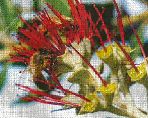 Two Bees On Pohutukawa Flower Diamond Paintings