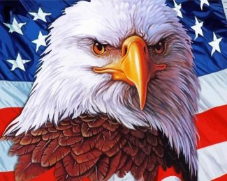 Aesthetic American Eagle With Flag Diamond Paintings