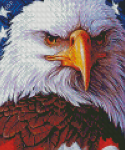 Aesthetic American Eagle With Flag Diamond Paintings