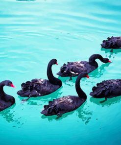 Aesthetic Black Swans Diamond Paintings