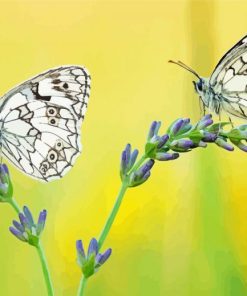 Aesthetic Couple Butterfly Diamond Paintings
