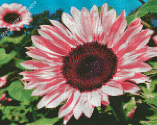 Blooming Pink Sunflower Diamond Painting