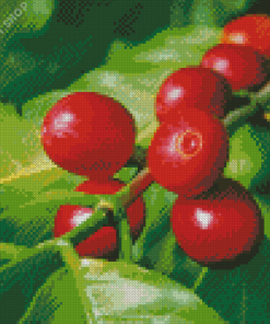 Coffee Plant Branch Diamond Paintings