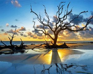 Driftwood Ocean Sunset Diamond Paintings