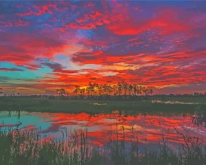 Florida Sunset Big Cypress Diamond Paintings