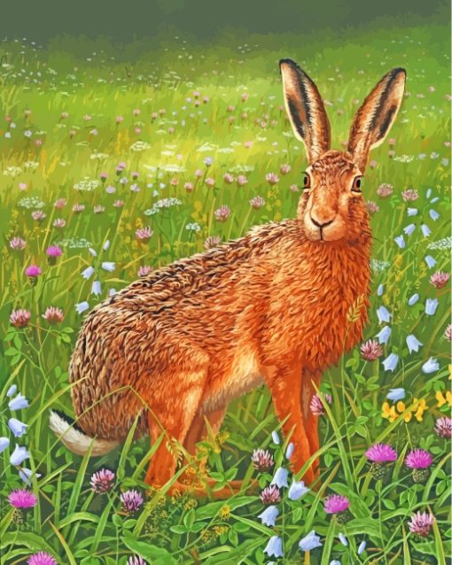 Har In Meadow Diamond Paintings