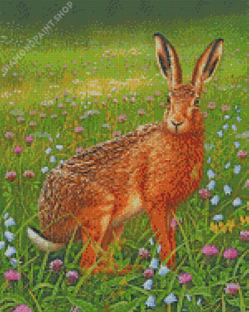 Har In Meadow Diamond Paintings