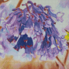 Jacaranda Flowering Plant Diamond Painting
