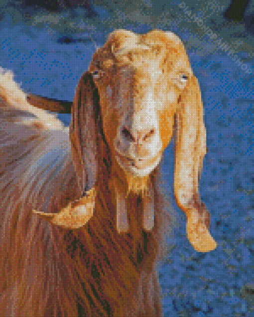 Long Eared Goat Animal Diamond Paintings