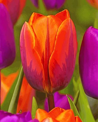 Orange Purple Tulip Diamond Paintings
