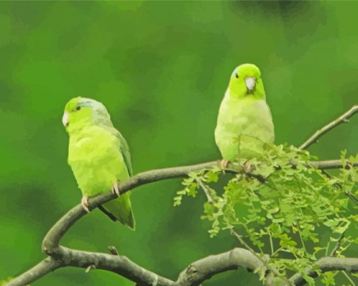 Parrotlet Birds On Tree Diamond Painting