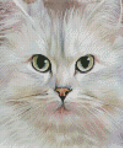 Persian Cat Diamond Painting