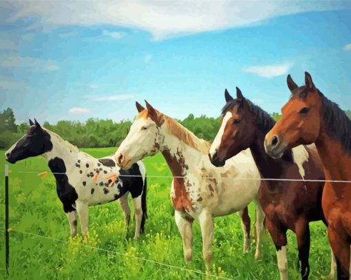 Ranch And Horses Animals Diamond Paintings