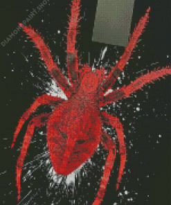 Red Spider Art Diamond Paintings
