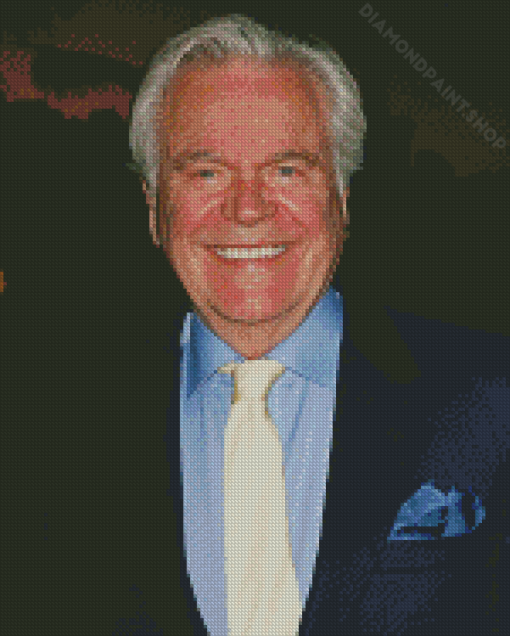 Robert Wagner Diamond Painting