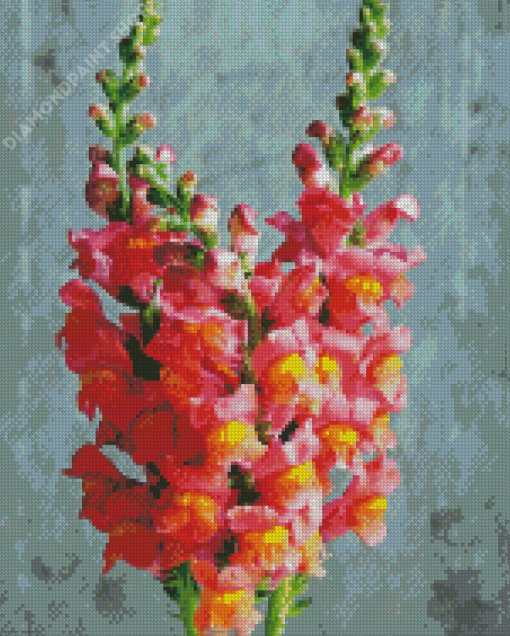 Snapdragons Flowers Plant Diamond Paintings