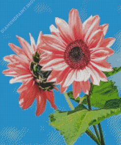 Two Pink Sunflowers Diamond Painting