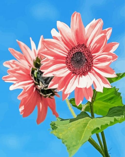 Two Pink Sunflowers Diamond Painting