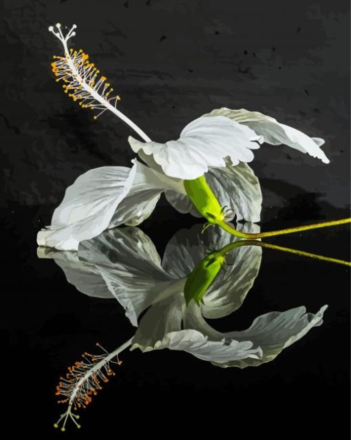 White Hibiscus Flower Reflection Diamond Painting