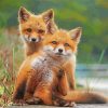 Wild Baby Foxes Diamond Painting