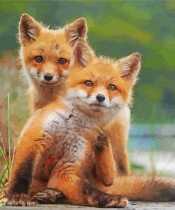 Wild Baby Foxes Diamond Painting