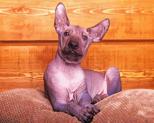 Xolo Pet Dog Diamond Paintings