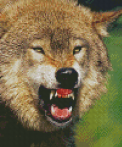 Aesthetic Angry Wolf Illustration Diamond Paintings