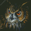 Aesthetic Long Eared Owl Diamond Painting