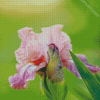 Aesthetic Pink Iris Diamond Painting