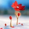 Beautiful Red Spring Flower In Snow Diamond Painting