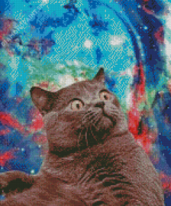 Cool Space Cat Diamond Paintings