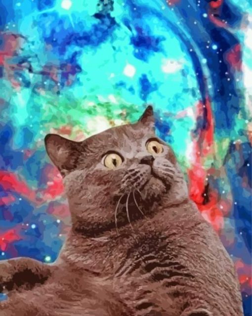 Cool Space Cat Diamond Paintings
