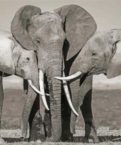 Elephants Family Snuggling Diamond Paintings