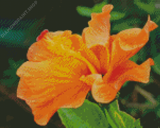 Orange Hibiscus Diamond Paintings