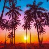 Palm Trees California Sunset Silhouette Diamond Paintings