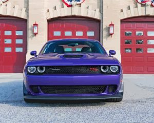 Purple Dodge Challenger Scat Diamond Paintings