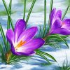 Purple Spring Flower In Snow Diamond Painting