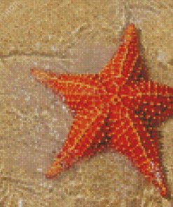 Red Starfish In Beach Diamond Paintings