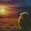Safari Lion Sunset Diamond Paintings