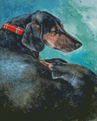 Sleeping Dachshund Dog Diamond Painting