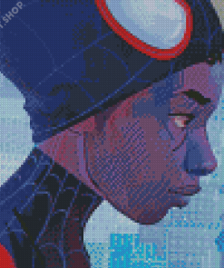 Spiderverse Art Diamond Painting