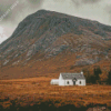 White House In Front Of Munro Mountain Diamond Paintings