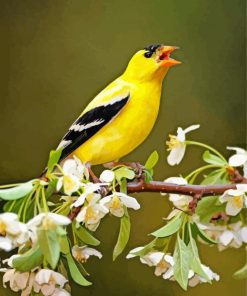 Yellow Finch On Tree Diamond Painting